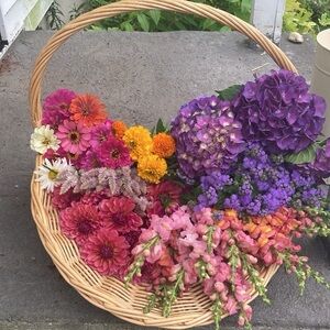 Meet your Posher, Kathryn